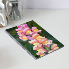 ピンクと黄色のキンギョソウの花 ノートブック
