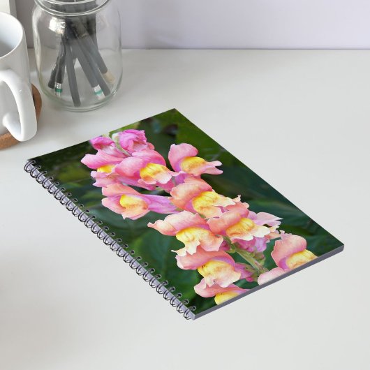 ピンクと黄色のキンギョソウの花 ノートブック