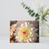 ピンクと黄色のタム ポストカード (スタンド正面)