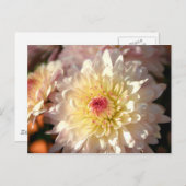 ピンクと黄色のタム ポストカード (正面/裏面)