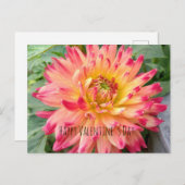 ピンクと黄色のダリア付きのバレンタインデーガキ ポストカード (正面/裏面)