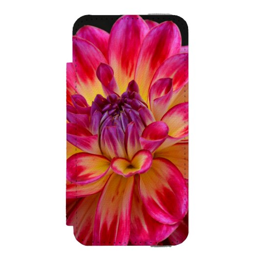 ピンクと黄色のダリア花 INCIPIO iPhoneウォレットケース (フォリオ 正面)