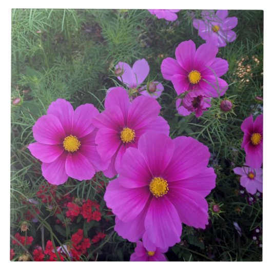 ピンクと黄色のデイジー花セラミックタイル タイル (正面)