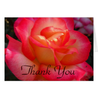 ピンクと黄色のバラありがとう