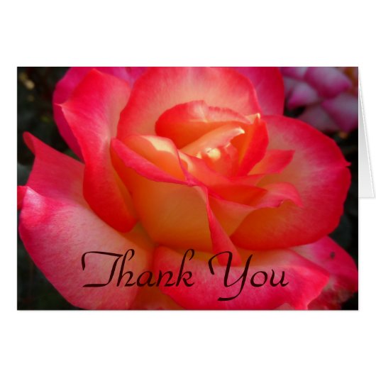 ピンクと黄色のバラありがとう (正面横)