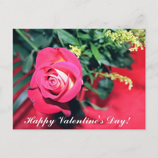 ピンクと黄色のバラのバレンタインデー ポストカード (正面)