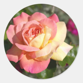 ピンクと黄色のバラの花。可憐な花々 ラウンドシール