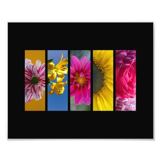 ピンクと黄色のマクロの花（横） フォトプリント            (正面)