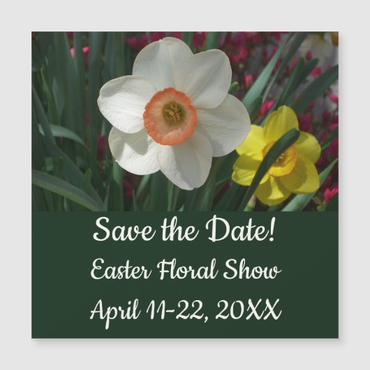 ピンクと黄色の春の花 (正面)