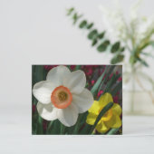 ピンクと黄色の春の花 (スタンド正面)