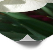 ピンクと黄色の春の花 ポスター (角)