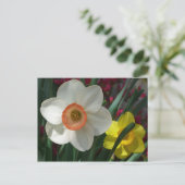 ピンクと黄色の春の花 ポストカード (スタンド正面)