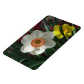 ピンクと黄色の春の花 マグネット (左側)