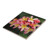 ピンクと黄色の熱帯プルメリアの花 タイル (側面)