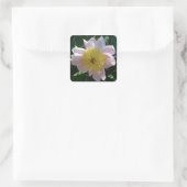 ピンクと黄色の牡丹美しいフローラ スクエアシール (バッグ)