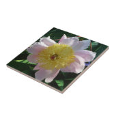 ピンクと黄色の牡丹美しいフローラ タイル (側面)