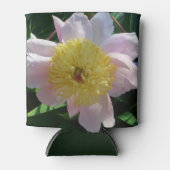 ピンクと黄色の牡丹美しいフローラ 缶クーラー (正面)