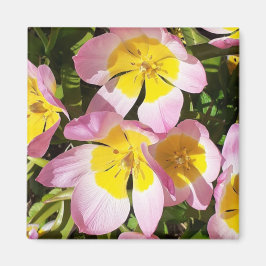 ピンクと黄色の花のマグネット マグネット