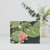 ピンクと黄色の花はがき ポストカード (スタンド正面)