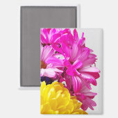 ピンクと黄色の花マグネット – TheDabs by Mari D マグネット (正面/裏面)
