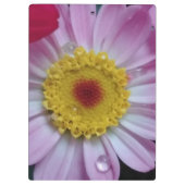 ピンクと黄色の花 クリップボード (裏面)