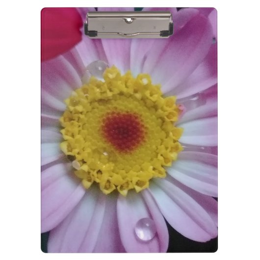 ピンクと黄色の花 クリップボード (正面)