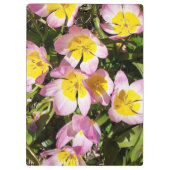 ピンクと黄色の花 クリップボード (裏面)