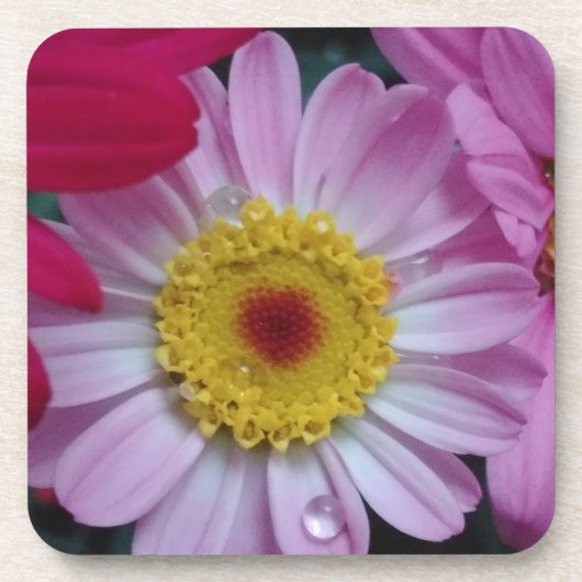 ピンクと黄色の花 コースター (正面)