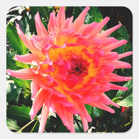 ピンクと黄色の花 スクエアシール (正面)