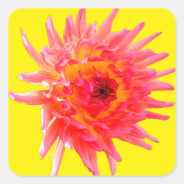 ピンクと黄色の花 スクエアシール
