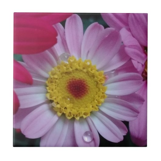 ピンクと黄色の花 タイル (正面)
