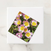 ピンクと黄色の花 フェイバータグ (インサイチュ)