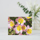 ピンクと黄色の花 ポストカード (スタンド正面)