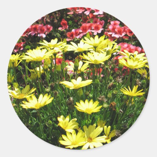 ピンクと黄色の花 ラウンドシール (正面)