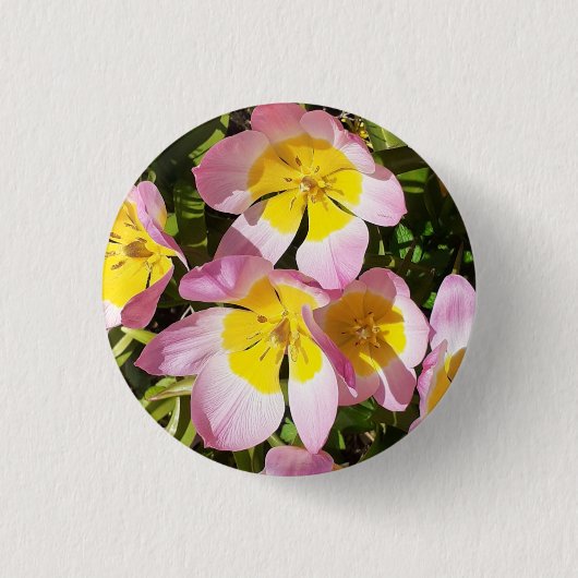 ピンクと黄色の花 缶バッジ (正面)
