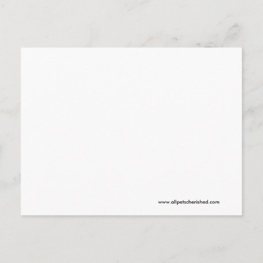 ピンクと黒のガーリー牛のモーベビーシャワー招待状 インビテーションポストカード (裏面)