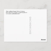 ピンクと黒のジグザグ ポストカード (裏面)