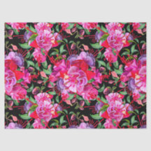 ピンクと黒の水色の明るい赤紫色開花