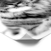 ピンクによって注目されるトラ ポスター (角)