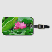 ピンクに咲く春