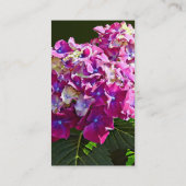 ピンクのあじさい2つ 名刺 (裏面)