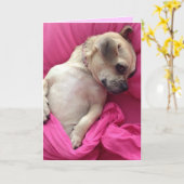 ピンクのかわいい小犬の汽笛の音は挨拶状を広げます カード (黄色い花)