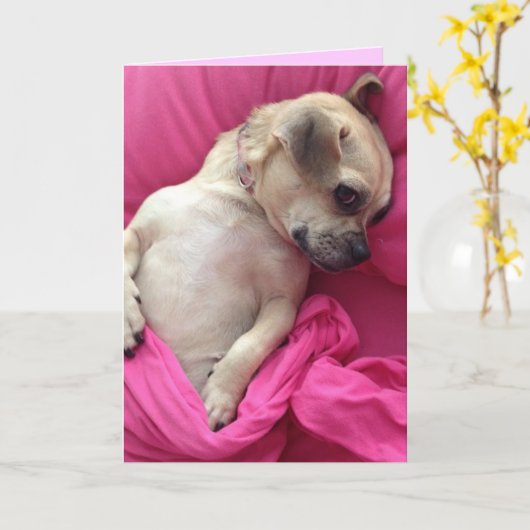 ピンクのかわいい小犬の汽笛の音は挨拶状を広げます カード (黄色い花)