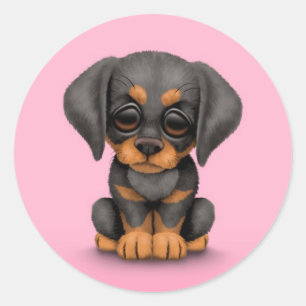 ピンクのかわいい（犬）ドーベルマン・ピンシェルの小犬 ラウンドシール