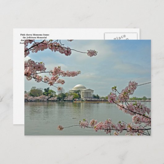 ピンクのさくらんぼとジェファーソン記念館 ポストカード (正面/裏面)
