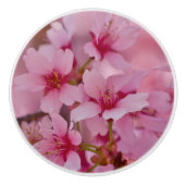 ピンクのさくらんぼに日本の染まる セラミックノブ (正面)