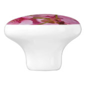 ピンクのさくらんぼに日本の染まる セラミックノブ (側面)