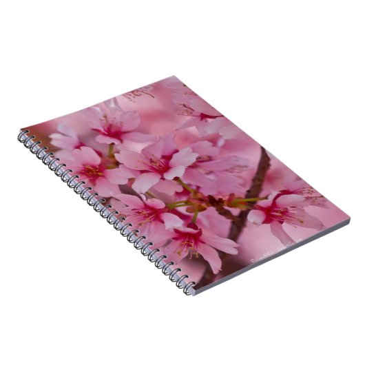ピンクのさくらんぼに日本の染まる ノートブック (右側)
