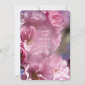 ピンクのさくらんぼの木の花の春の結婚式 招待状 (裏面)