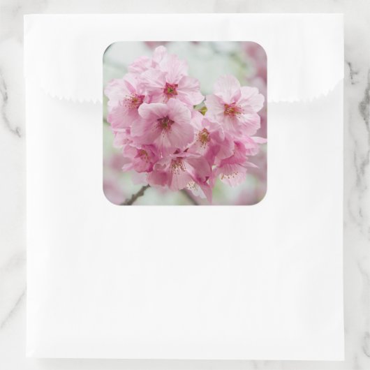 ピンクのさくらんぼ花の花，日本の写真 スクエアシール (バッグ)